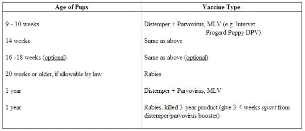 vaccinations.jpg