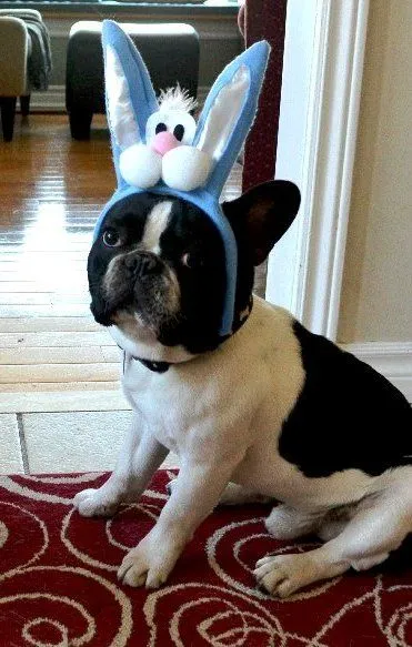 Wally Easter.jpg