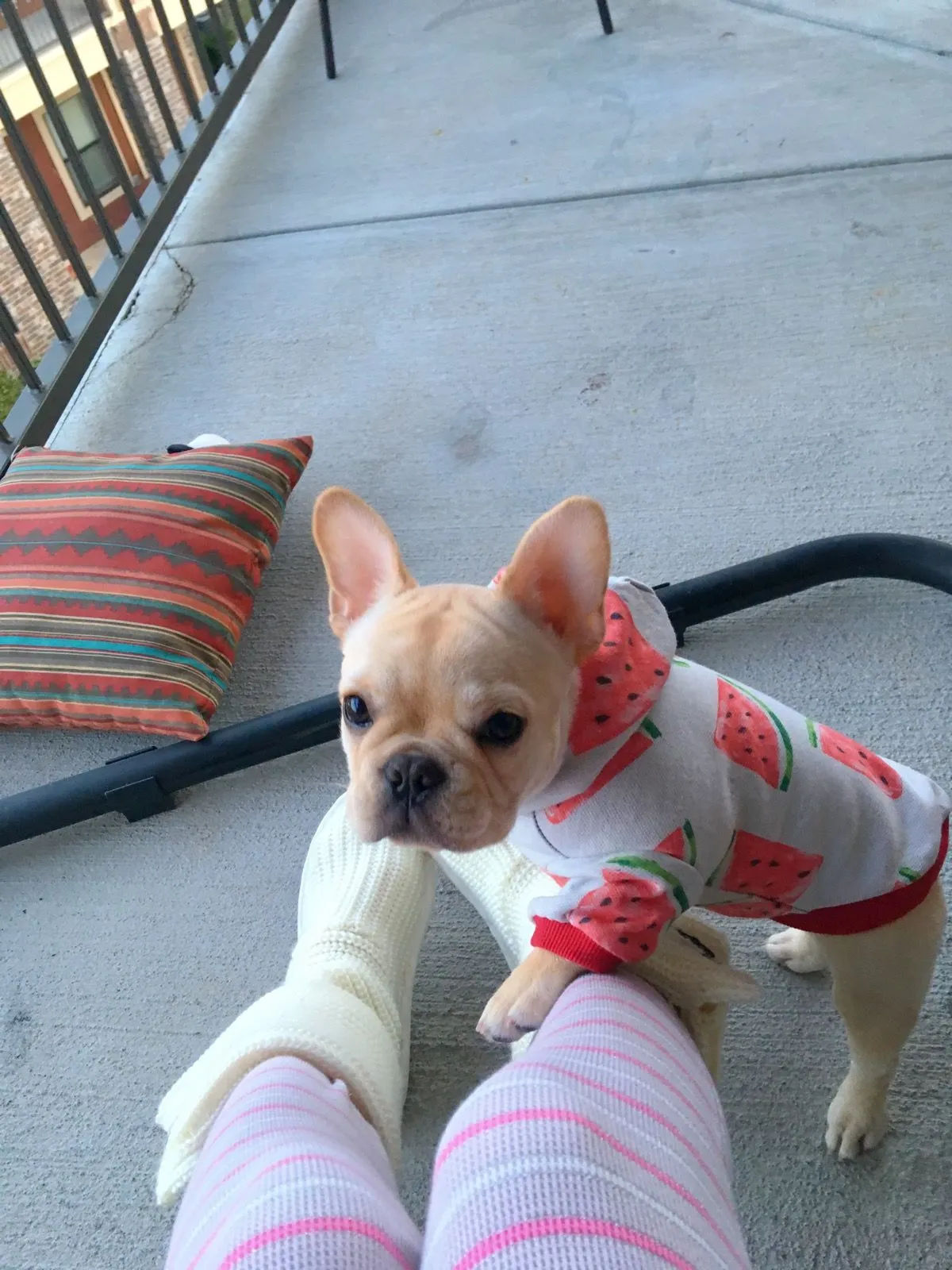 watermelon hoodie!!