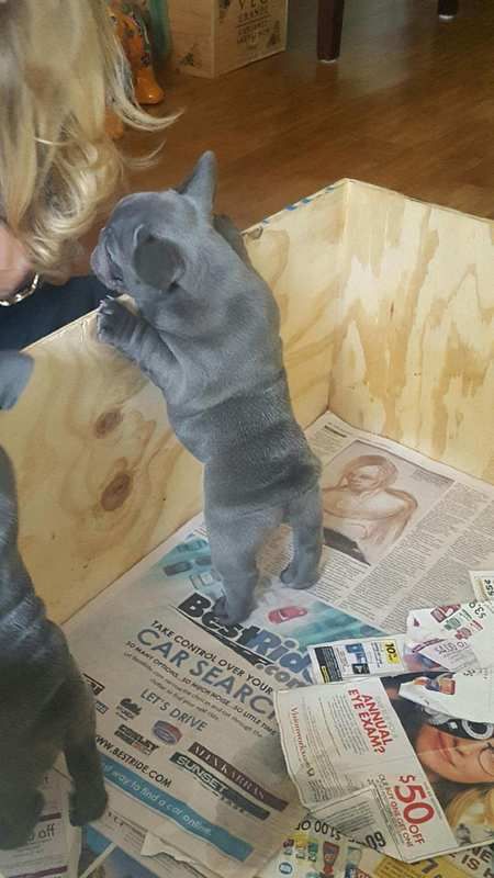 Pebbles6weeks_zpstk7qgxol.jpg
