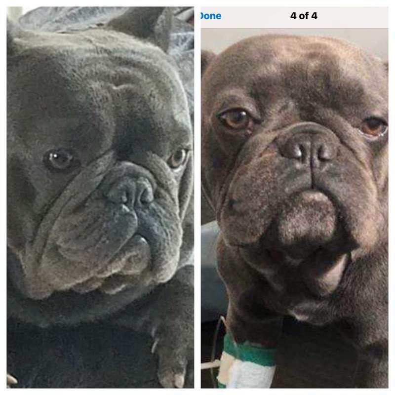 Beforeafter_zpstopdnjfv.jpg