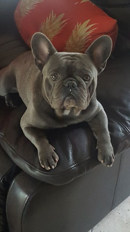Charlie180630_zpsgkjssu24.jpg